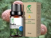 ULEI ESENȚIAL DE CEDRU | CEDRUS ATLANTICA | ULEIUL ETERIC AL COMUNIUNII