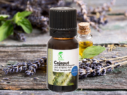 ULEIUL ESENȚIAL DE CAJEPUT | MELALEUCA CAJUPUTI | ULEIUL ETERIC ELIBERATOR DE VOCI