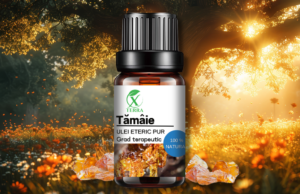 TĂMÂIE | BOSWELLIA CARTERII | PROTECȚIE ȘI ÎMPĂMÂNTARE | CUM NE CONECTĂM CU ENERGIA ULEIURILOR ETERICE (9)