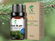 ULEI ESENȚIAL DE ACE DE PIN | PINUS SYLVESTRIS | ULEIUL EXPANSIUNII CONȘTIINȚEI