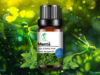 MENTĂ | MENTHA PIPERITA | PROTECȚIE ȘI ÎMPĂMÂNTARE | CUM NE CONECTĂM CU ENERGIA ULEIURILOR ETERICE (10)
