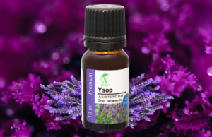YSOP | HYSSOPUS OFFICINALIS | PURIFICAREA AUREI | CUM NE CONECTĂM CU ENERGIA ULEIURILOR ETERICE (11)