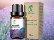 ULEI ESENȚIAL DE LAVANDĂ | LAVANDULA ANGUSTIFOLIA | ULEIUL PĂCII ȘI PURIFICĂRII