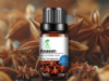 ANASON STELAT | ILLICIUM VERUM | PROTECȚIE ȘI ECHILIBRU EMOȚIONAL | CUM NE CONECTĂM CU ENERGIA ULEIURILOR ETERICE (15)