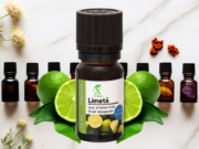 ULEIUL ESENȚIAL DE LIMETĂ | CITRUS AURANTIIFOLIA | ULEIUL ETERIC AL LUMINII ȘI VITALITĂȚII