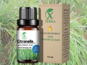 ULEI ESENȚIAL DE CITRONELLA | CYMBOPOGON WINTERIANUS | ULEIUL CLARITĂȚII ȘI REPELENTUL DE SERVICIU
