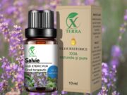 ULEI ESENȚIAL DE SALVIE | SALVIA SCLAREA | ULEIUL EXPRIMĂRII LIBERE ȘI INTUIȚIEI