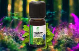 MĂGHIRAN | ORIGANUM MAJORANA | ECHILIBRU ȘI CALM EMOȚIONAL | CUM NE CONECTĂM CU ENERGIA ULEIURILOR ETERICE (4)