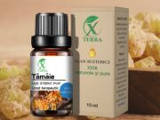 ULEI ESENȚIAL DE TĂMÂIE | BOSWELLIA CARTERII | ULEIUL ETERIC AL ADEVĂRULUI