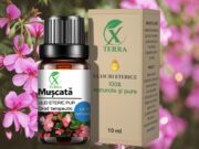ULEI ESENȚIAL DE MUȘCATĂ | PELARGONIUM GRAVEOLENS | ULEIUL ETERIC VINDECĂTOR AL TRAUMELOR