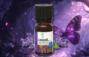 LAVANDA | LAVANDULA ANGUSTIFOLIA | CONEXIUNE DE ÎNALTĂ VIBRAȚIE | CUM NE CONECTĂM CU ENERGIA ULEIURILOR ETERICE (6)