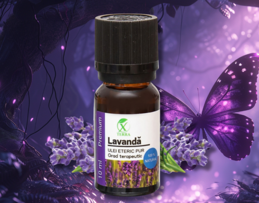 LAVANDA | LAVANDULA ANGUSTIFOLIA | CONEXIUNE DE ÎNALTĂ VIBRAȚIE | CUM NE CONECTĂM CU ENERGIA ULEIURILOR ETERICE (6)
