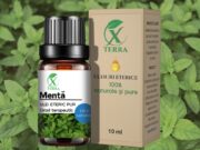 ULEI ESENȚIAL DE MENTĂ | MENTHA PIPERITA | ULEIUL CLARITĂȚII MENTALE