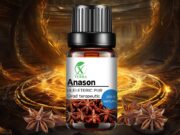 ANASON STELAT | ILLICIUM VERUM | ULEIUL ETERIC AL CONEXIUNII CU ASPECTELE SUPERIOARE ALE CONȘTIINȚEI