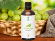 ULEIUL PURTĂTOR DIN SEMINȚE DE STRUGURI | VITIS VINIFERA | ELIXIRUL PURIFICĂRII ȘI REVITALIZĂRII