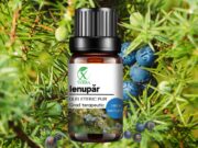 IENUPĂR | JUNIPERUS COMMUNIS | GARDIANUL STELEI PĂMÂNTULUI