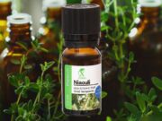 NIAOULI | MELALEUCA QUINQUENERVIA | ULEIUL ETERIC CARE ÎNTĂREȘTE ÎNCREDEREA ÎN SINE