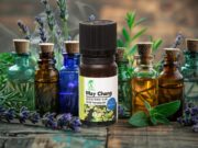MAY CHANG | LITSEA CUBEBA | ULEIUL ETERIC AL BUCURIEI ȘI TRANSFORMĂRII SPIRITUALE