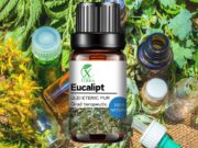 EUCALIPT | EUCALYPTUS GLOBULUS | ULEIUL ETERIC AL CLARITĂȚII ȘI LUMINII